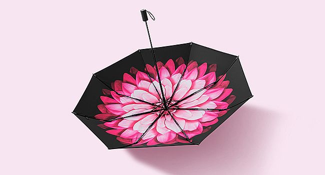 ���¹ٷ��콢��